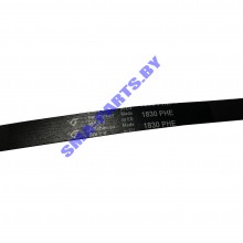 Ремень 1830 8PH привода барабана (приводной ремень) для сушильной машины Electrolux (Электролюкс), AEG (АЕГ), Zanussi (Занусси) 1256062009    